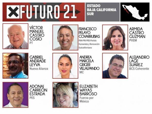 Qué Candidatos Aspiran A Gobernar Baja California Sur – Faro Electoral